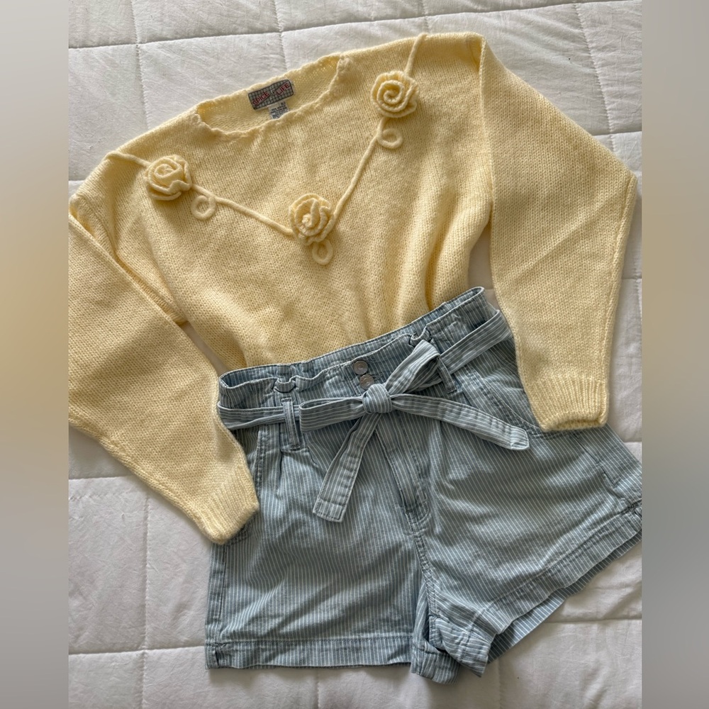 American Eagle High Waisted Striped Denim Shorts with Bow Belt